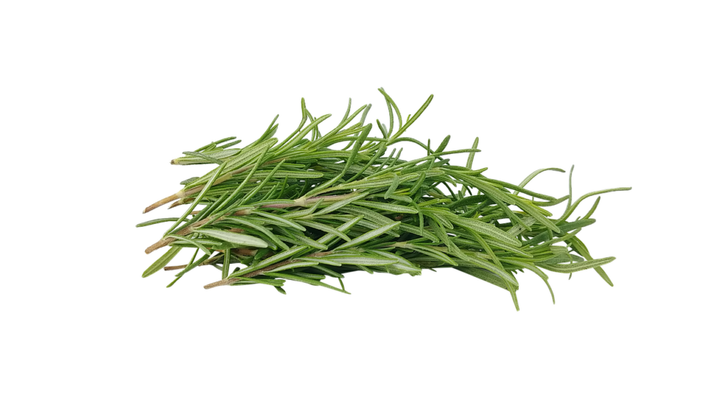 rosemary, herb, honey-4744695.jpg