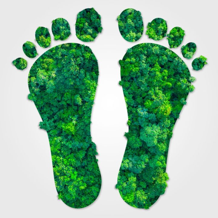 Carbon-Footprints